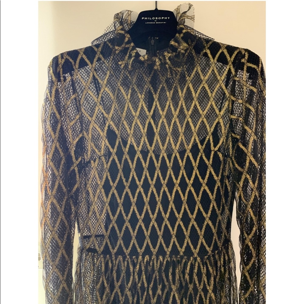 Philosophy di Lorenzo long sleeve gown/maxi dress - Picture 4 of 13